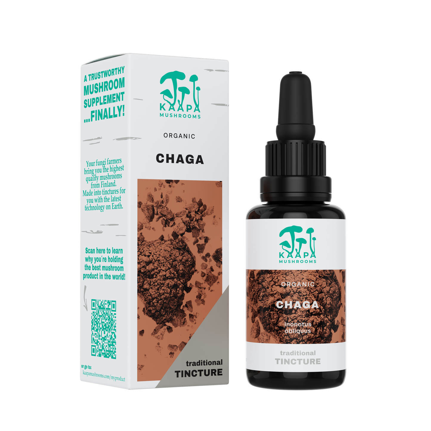 Chaga tincture
