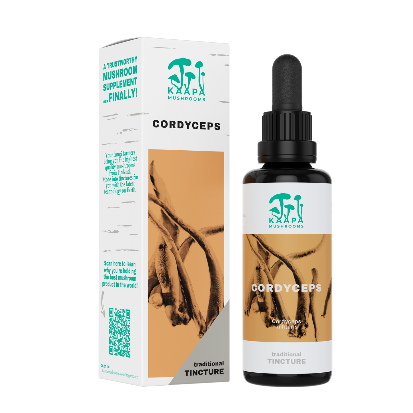 Cordyceps tincture