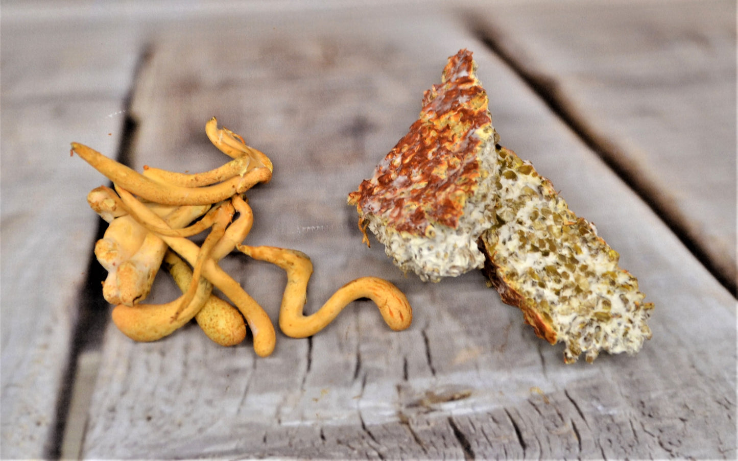 Cordyceps tincture