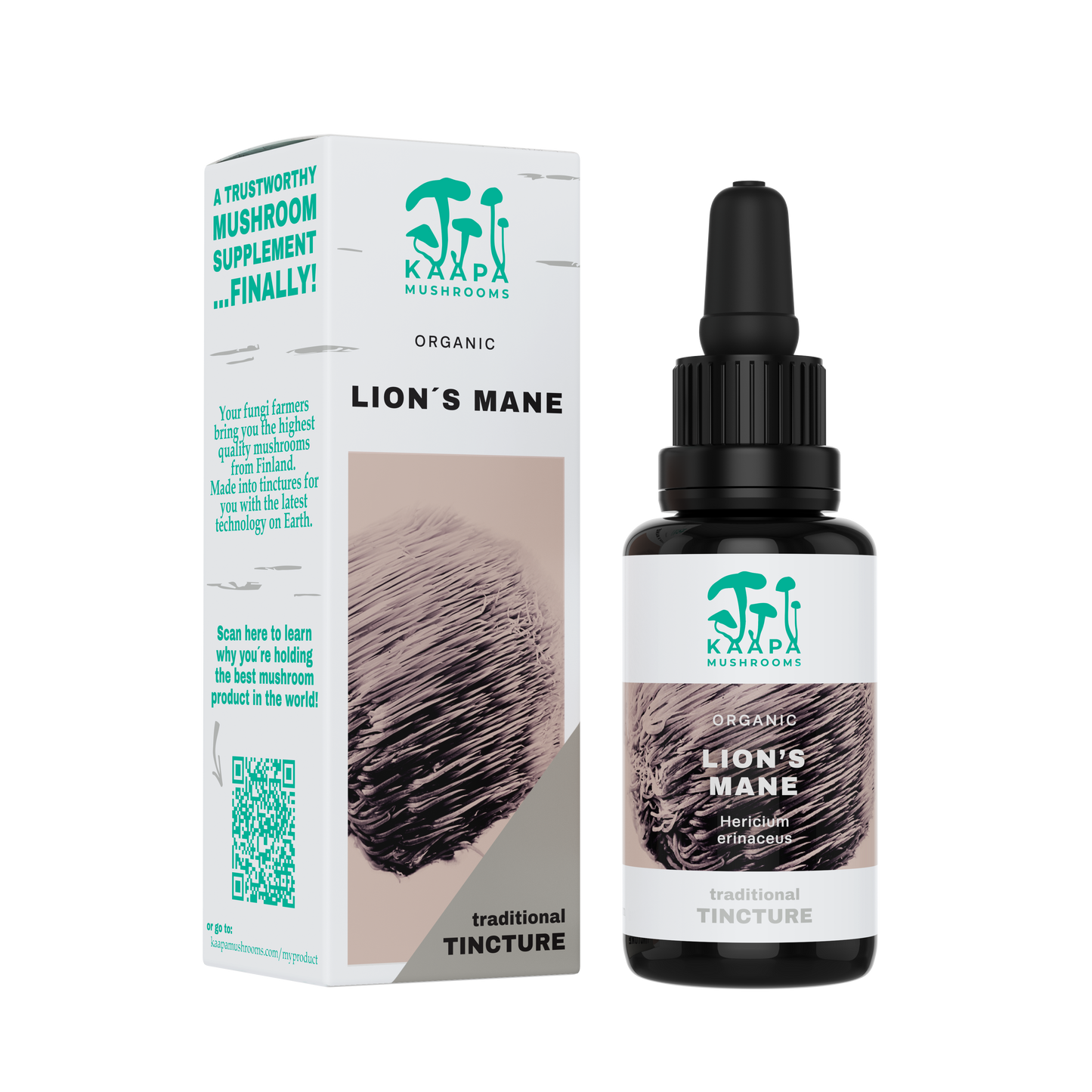 Lion's Mane tincture