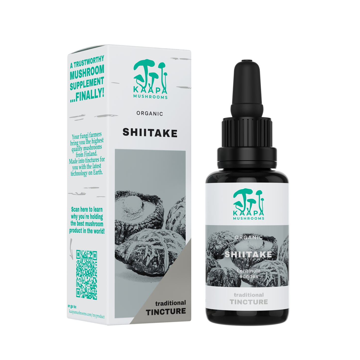 Shiitake tincture