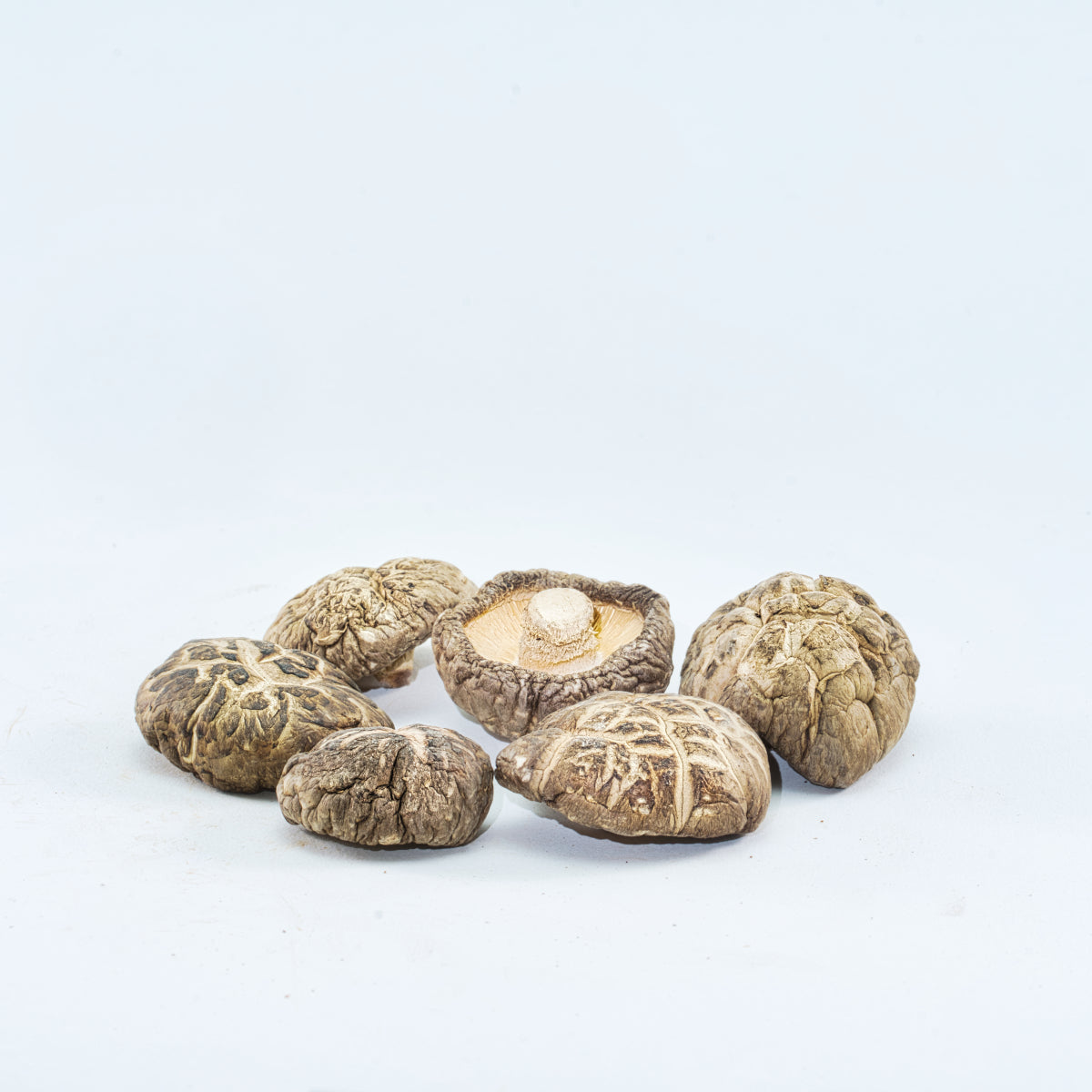 Shiitake tincture