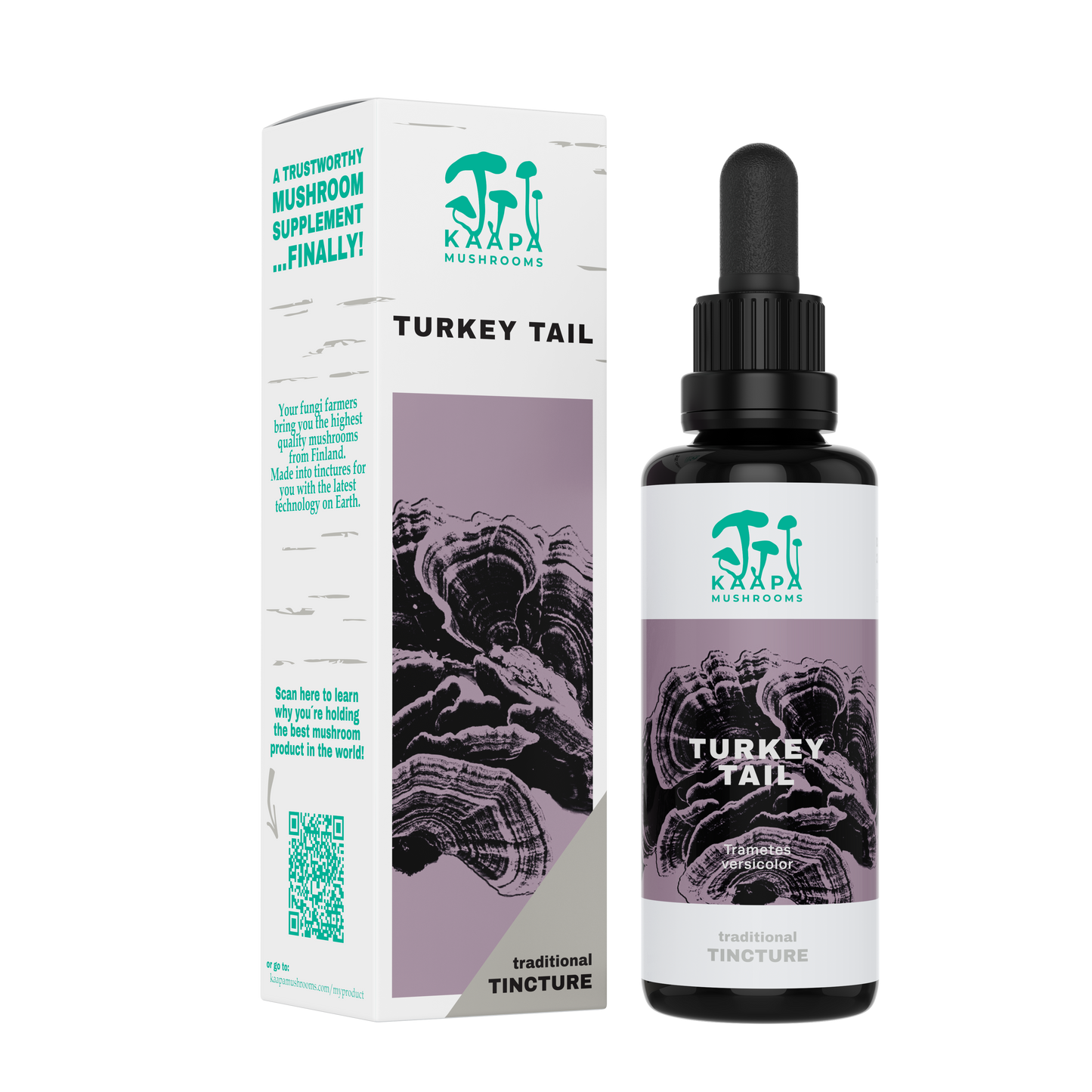 Turkey Tail tincture