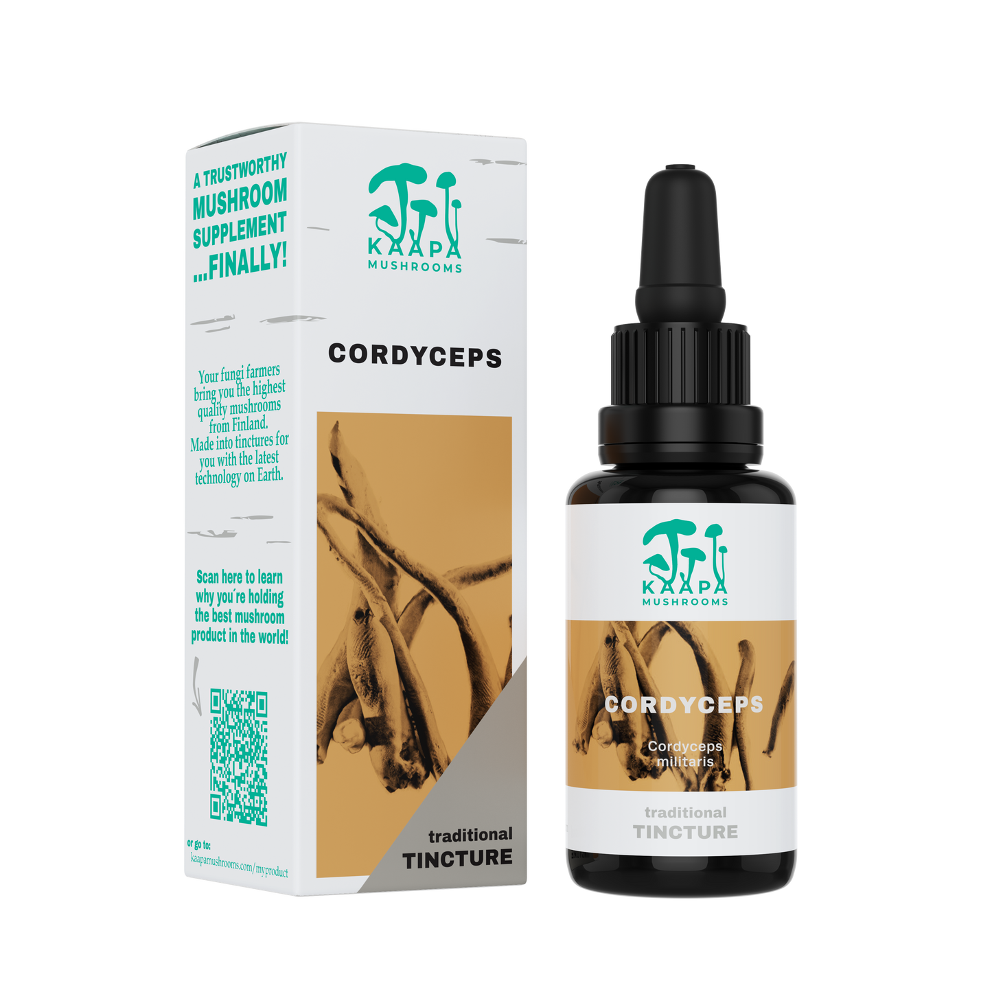 Cordyceps tincture