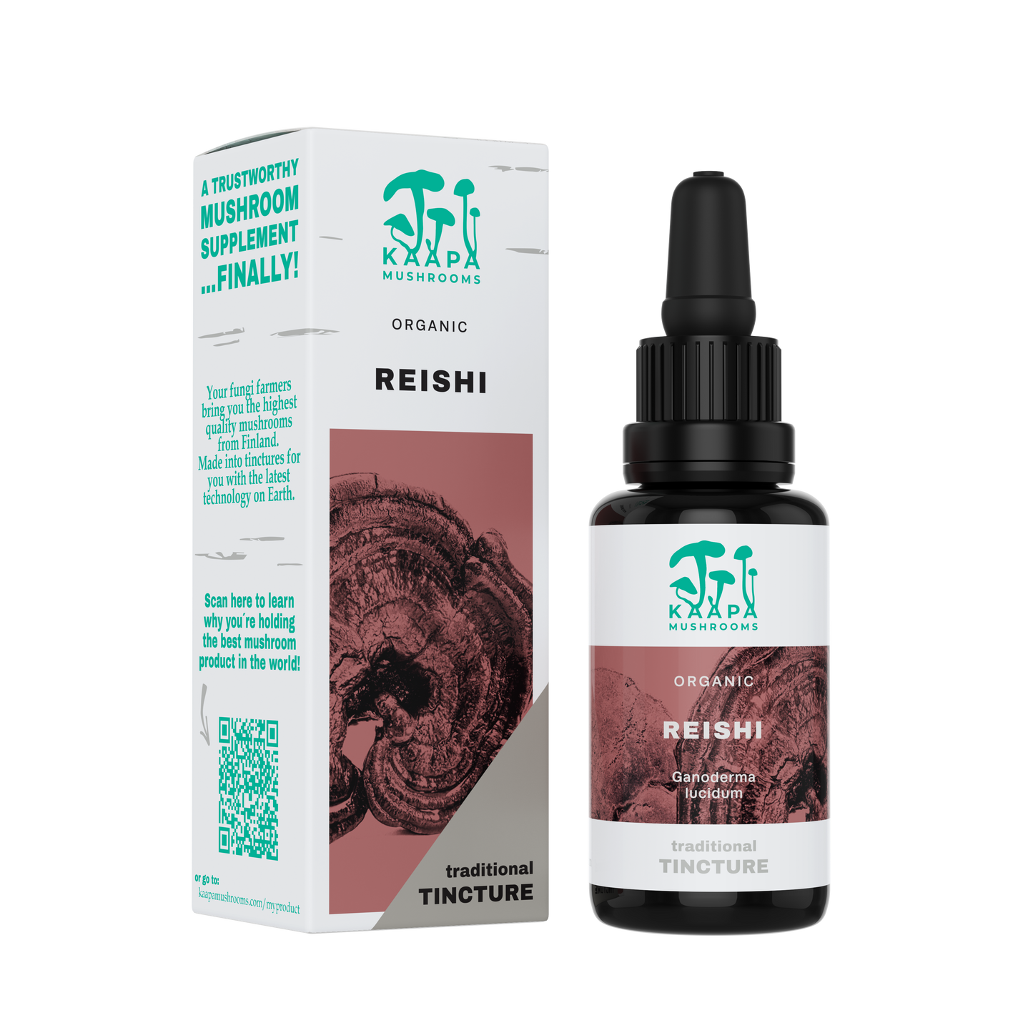 Reishi tincture