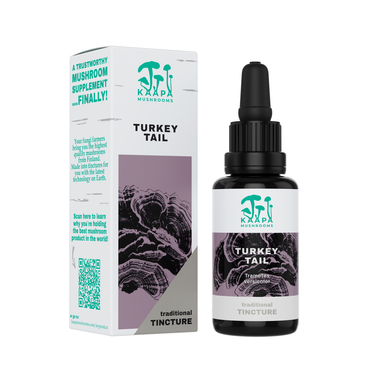 Turkey Tail tincture